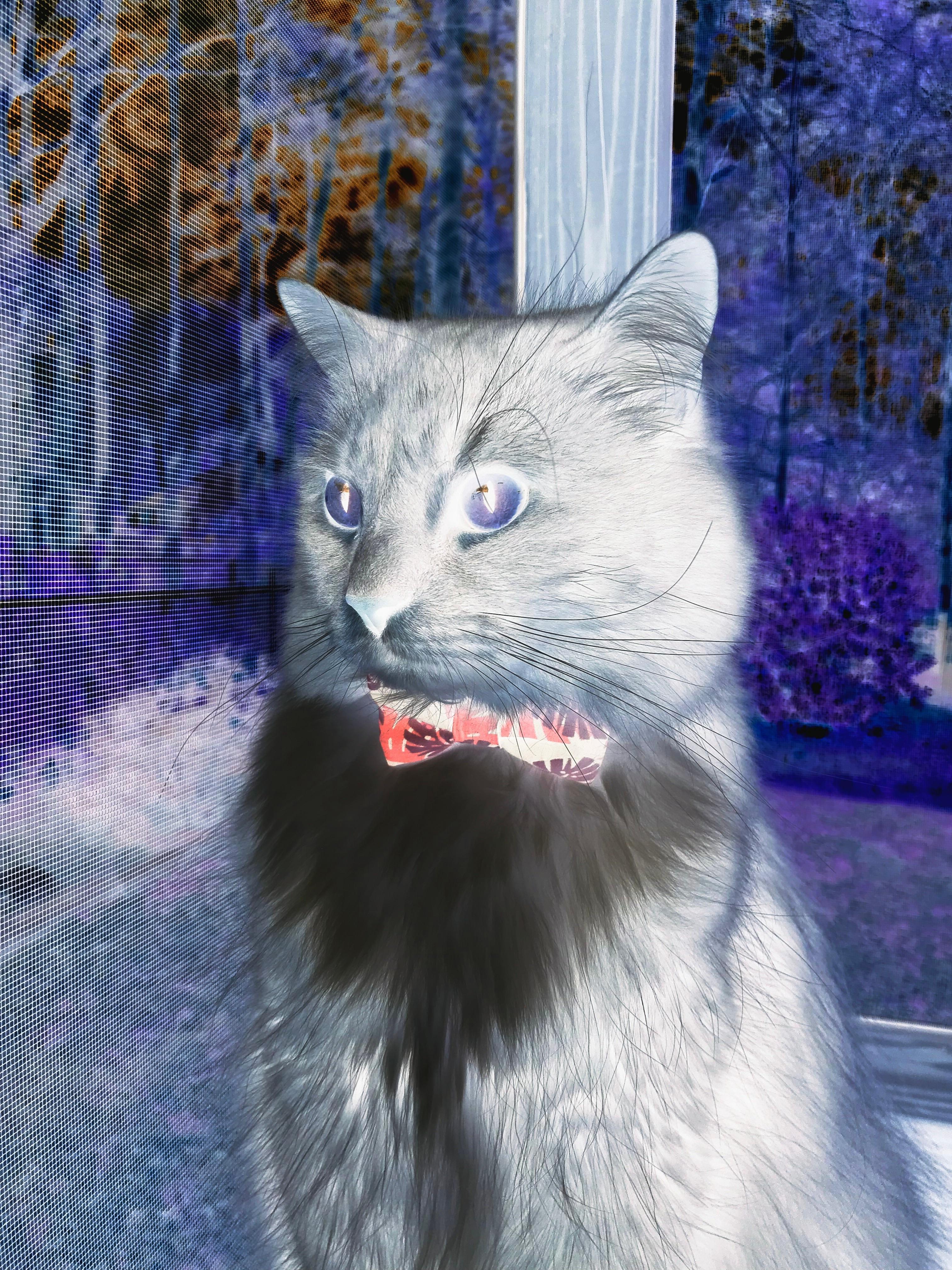 投融资高峰不断，电竞行业资本热潮持续蔓延，在电竞行业投资的企业有哪些