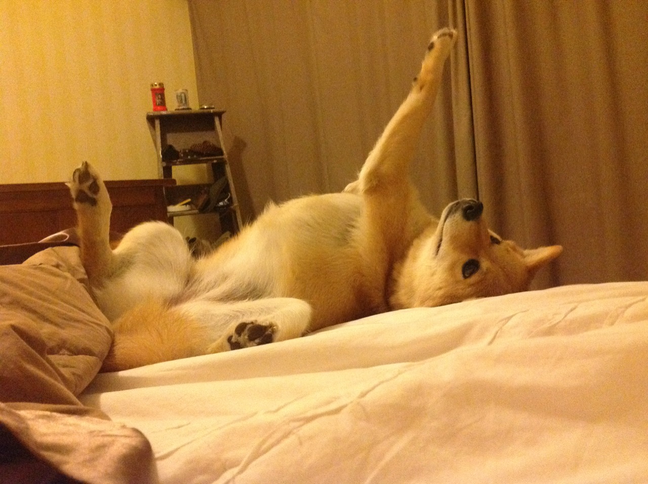 开云·体育官网APP下载-_运动员技能榜：看谁的绝招最牛_，运动员才力