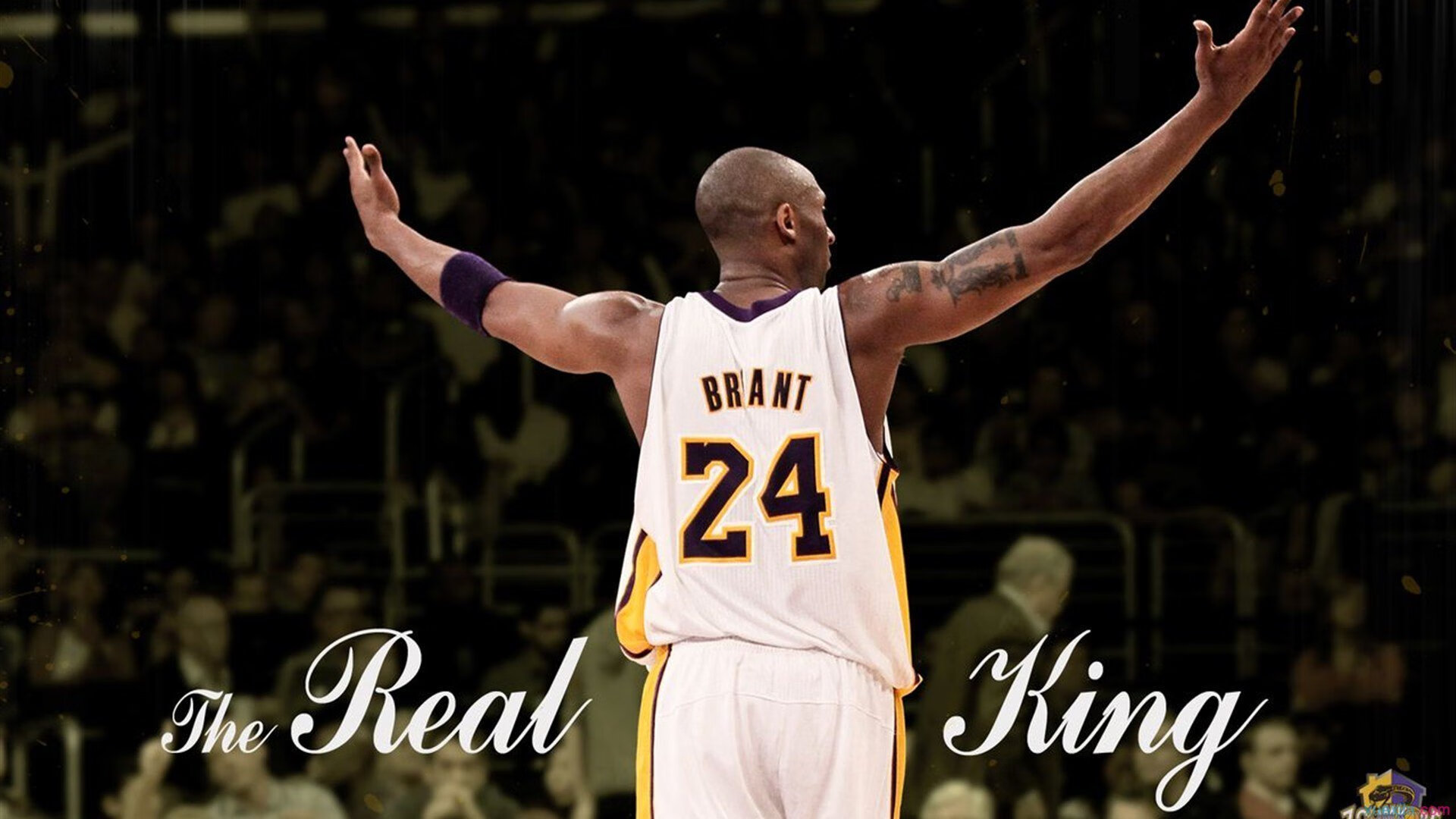 开云真人体育娱乐-帕金斯成功晋级为未来蓄势，帕金斯有冠军吗